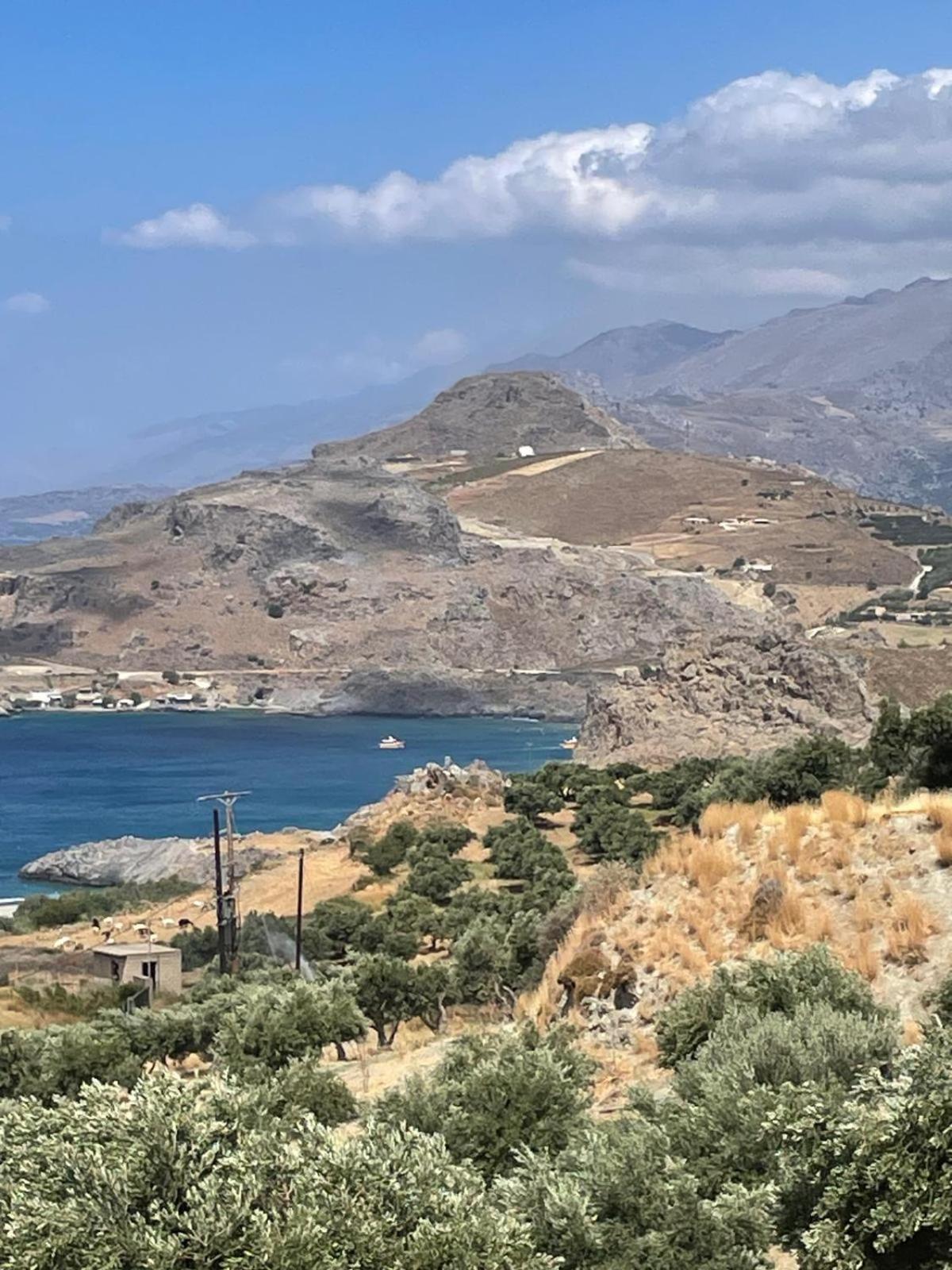 Happy Camp Mobilehomes In Camping Apollonia Plakias Buitenkant foto